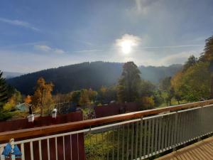 Pronájem bytu 2+kk, Vítkovice, 36 m2