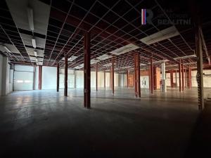 Pronájem výrobních prostor, Dolní Rychnov, Bergmannova, 5000 m2