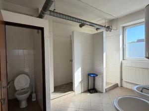 Pronájem výrobních prostor, Dolní Rychnov, Bergmannova, 5000 m2