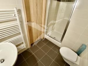 Pronájem bytu 1+kk, Plzeň, Nemocniční, 29 m2