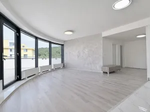 Prodej bytu 3+kk, Brno, Gajdošova, 78 m2