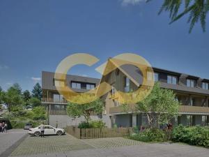 Prodej bytu 3+kk, Nové Hutě, 55 m2