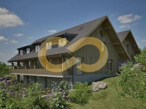 Prodej bytu 2+kk, Nové Hutě, 40 m2