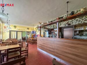 Pronájem restaurace, Dolní Hbity, 297 m2