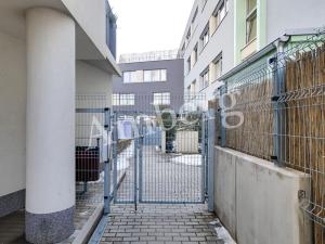 Pronájem bytu 2+kk, Praha - Žižkov, Olgy Havlové, 54 m2