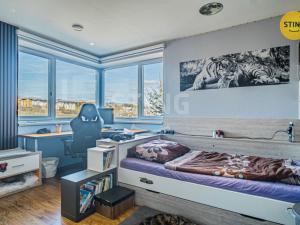 Prodej rodinného domu, Velké Meziříčí, Tichá, 440 m2