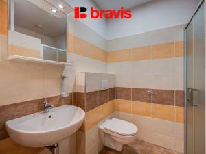 Pronájem bytu 1+kk, Brno - Medlánky, Hudcova, 25 m2