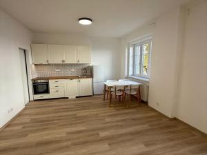 Pronájem bytu 2+kk, Brno - Veveří, Sušilova, 59 m2