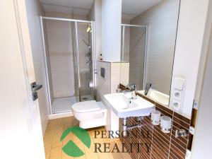 Prodej rodinného domu, Mladá Boleslav - Čejetice, Nezvalova, 251 m2