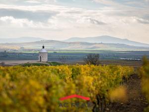 Prodej apartmánu, Strachotín, Šakvická, 33 m2