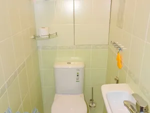 Pronájem bytu 2+1, Mělník, Pražská, 60 m2