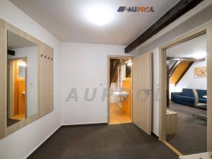 Prodej ubytování, Český Krumlov - Vnitřní Město, Široká, 400 m2