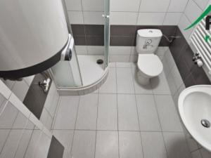 Pronájem bytu 1+kk, Tachov, Rokycanova, 33 m2