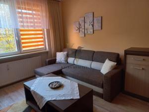 Pronájem bytu 1+1, Ostrava, Proskovická, 40 m2