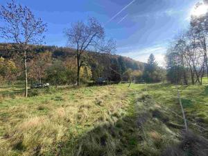 Prodej pole, Zdislava, 1384 m2