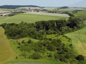 Prodej pole, Bučovice, 3134 m2