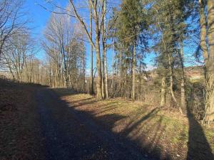 Prodej pozemku, Nová Bystřice, 3407 m2