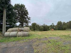 Prodej pozemku, Nová Bystřice - Senotín, 11798 m2