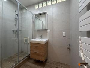 Pronájem bytu 2+1, Havířov, Dělnická, 48 m2