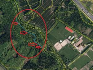 Prodej podílu lesa, Staříč, 16254 m2