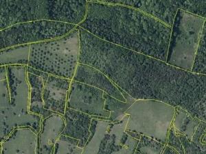 Prodej lesa, Želenice, 6238 m2