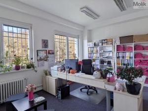 Pronájem kanceláře, Teplice, Novosedlická, 18 m2