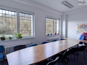 Pronájem kanceláře, Teplice, Novosedlická, 36 m2