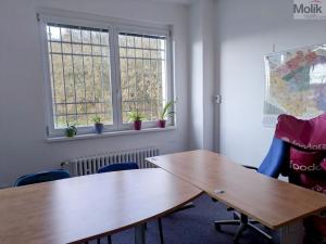 Pronájem kanceláře, Teplice, Novosedlická, 36 m2