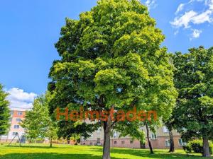 Pronájem bytu 3+1, Havířov - Město, Na Nábřeží, 71 m2