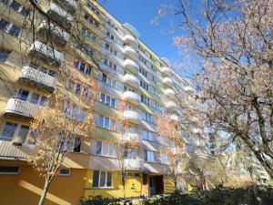 Pronájem bytu 2+1, České Budějovice, J. Opletala, 60 m2