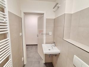 Pronájem bytu 1+kk, Brandýs nad Labem-Stará Boleslav - Brandýs nad Labem, Augustina Lukeše, 33 m2