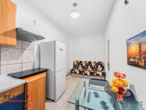 Prodej bytu 1+kk, Plzeň - Božkov, Sušická, 29 m2