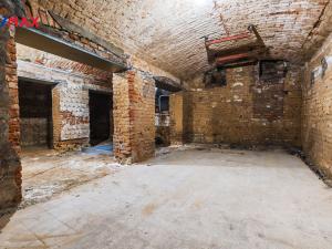 Pronájem obchodního prostoru, Praha - Žižkov, Seifertova, 100 m2