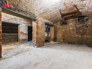 Pronájem obchodního prostoru, Praha - Žižkov, Seifertova, 110 m2