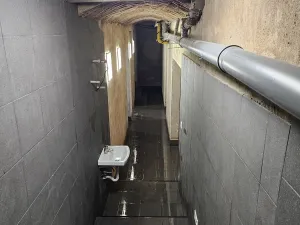 Pronájem obchodního prostoru, Praha - Žižkov, Seifertova, 110 m2