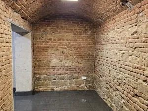 Pronájem obchodního prostoru, Praha - Žižkov, Seifertova, 110 m2