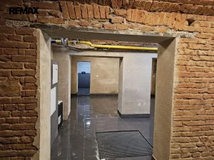 Pronájem obchodního prostoru, Praha - Žižkov, Seifertova, 110 m2