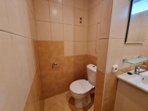 Pronájem bytu 1+1, Ostrava - Moravská Ostrava, Petra Křičky, 41 m2