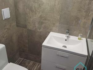 Pronájem bytu 1+1, Holčovice, 42 m2