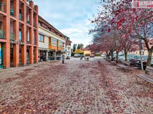 Prodej bytu 1+kk, Dobřichovice, Palackého, 20 m2