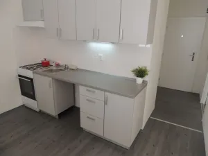 Pronájem bytu 1+1, Ostrava - Moravská Ostrava, Hornopolní, 34 m2