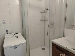 Pronájem bytu 2+1, Znojmo, Pražská, 51 m2