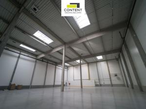 Pronájem výrobních prostor, Řepov, 816 m2