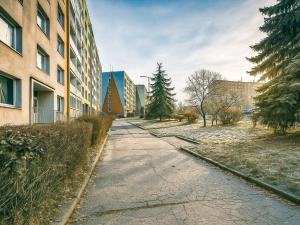 Pronájem bytu 1+1, Chomutov, Písečná, 42 m2