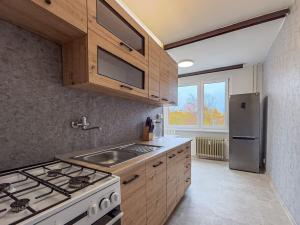 Pronájem bytu 1+1, Chomutov, Písečná, 42 m2