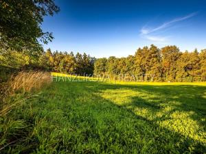 Prodej pozemku pro bydlení, Dubičné, 3914 m2