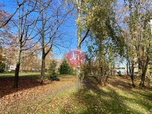 Pronájem bytu 1+kk, Ostrava, Sokolovská, 23 m2