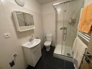 Pronájem bytu 1+kk, Zábřeh, Valová, 25 m2