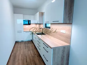 Pronájem bytu 3+kk, Hodonín, 150 m2