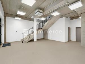 Pronájem výrobních prostor, Brno, Vinohradská, 446 m2